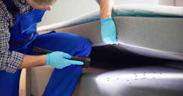 Best Insect Control  in Havelock, NC