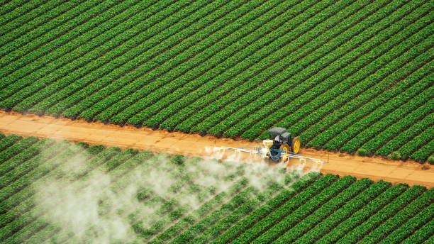 Best Mosquito Control Services  in Havelock, NC