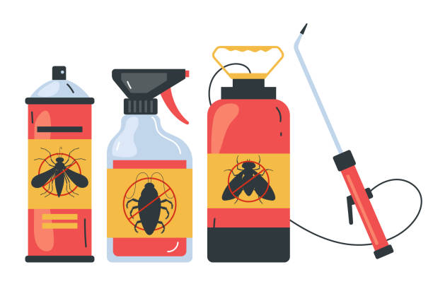 Best Bed Bug Extermination  in Havelock, NC