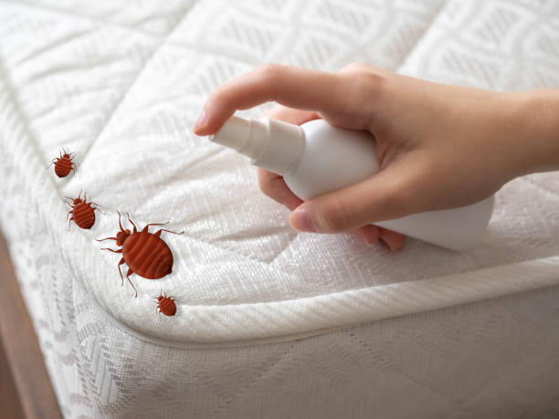 Best Residential Pest Control  in Havelock, NC